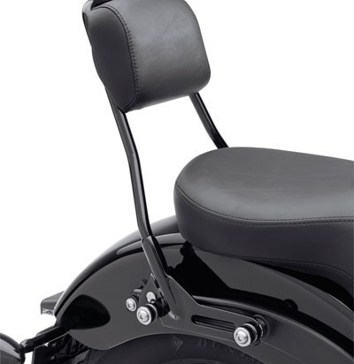 BACKREST PAD KIT,SMOOTH,FXS