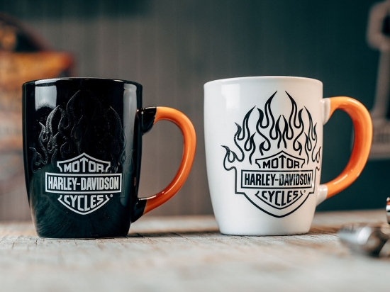 HD B&S FLAMES COLOR CHANGE MUG