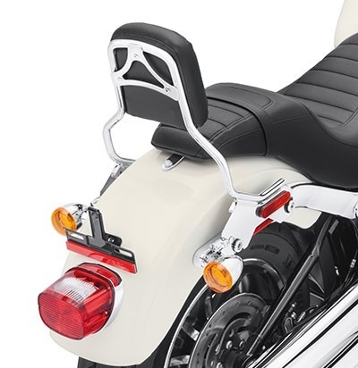 KIT,DETACH SISSY BAR STD HT (2