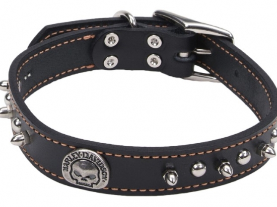 1 LEATHER SPIKE WILLIE G COLLAR