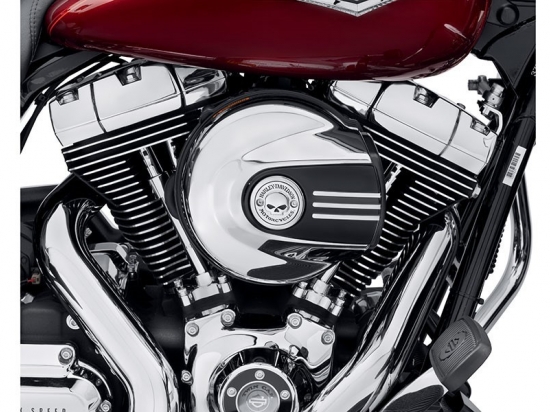 WILLIE G SKULL COLLECTION A/C