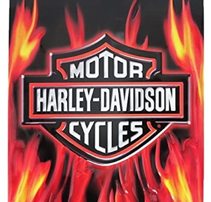 HD Flame Logo