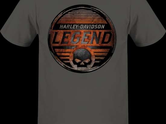 LEGEND BADGE USA T-SHIRT L