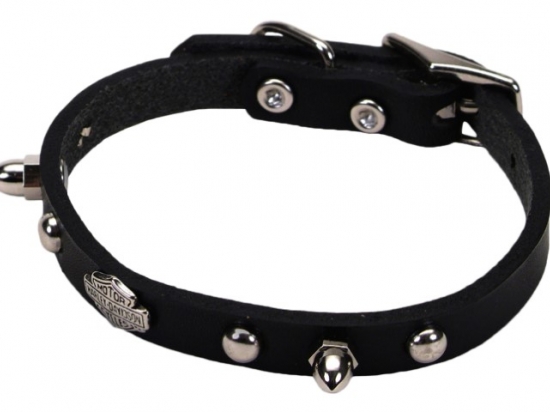 5/8" LEATHER SPIKE  COLLAR