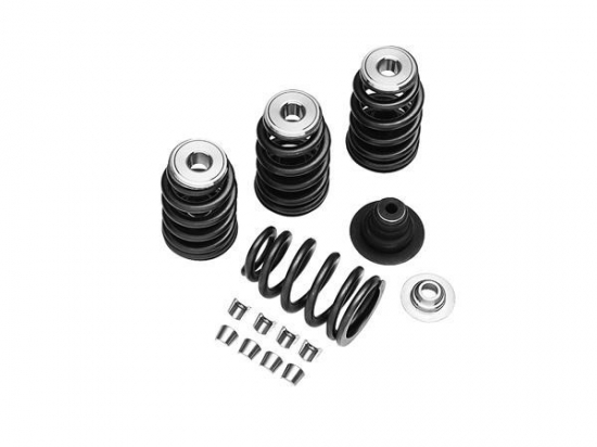 KIT, VALVE SPRINGS