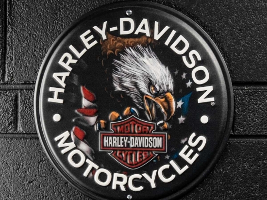H-D Patriotic Eagle Metal Sign