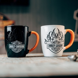 HD B&S FLAMES COLOR CHANGE MUG