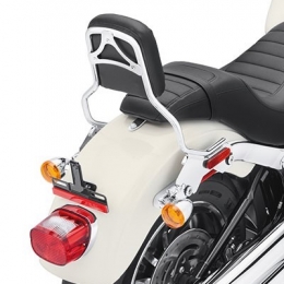 KIT,DETACH SISSY BAR STD HT (2