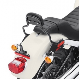 KIT,DETACH SISSY BAR SHRT HT (