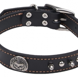 1 LEATHER SPIKE WILLIE G COLLAR