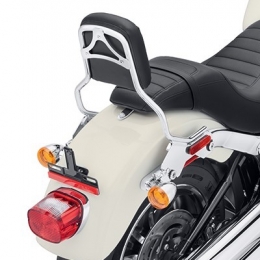 KIT,DETACH SISSY BAR UPRIGHT (