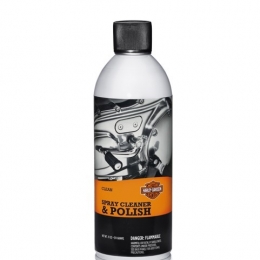 SPRAY CLEANER &POLISH,12-OZ AR