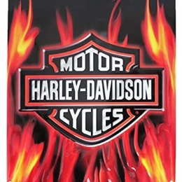 HD Flame Logo