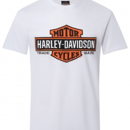Elongated B&S on White-XL