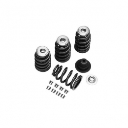 KIT, VALVE SPRINGS