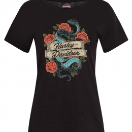 Charmer 40th - M