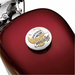 GOLD EAGLE GAS CAP MEDALLION